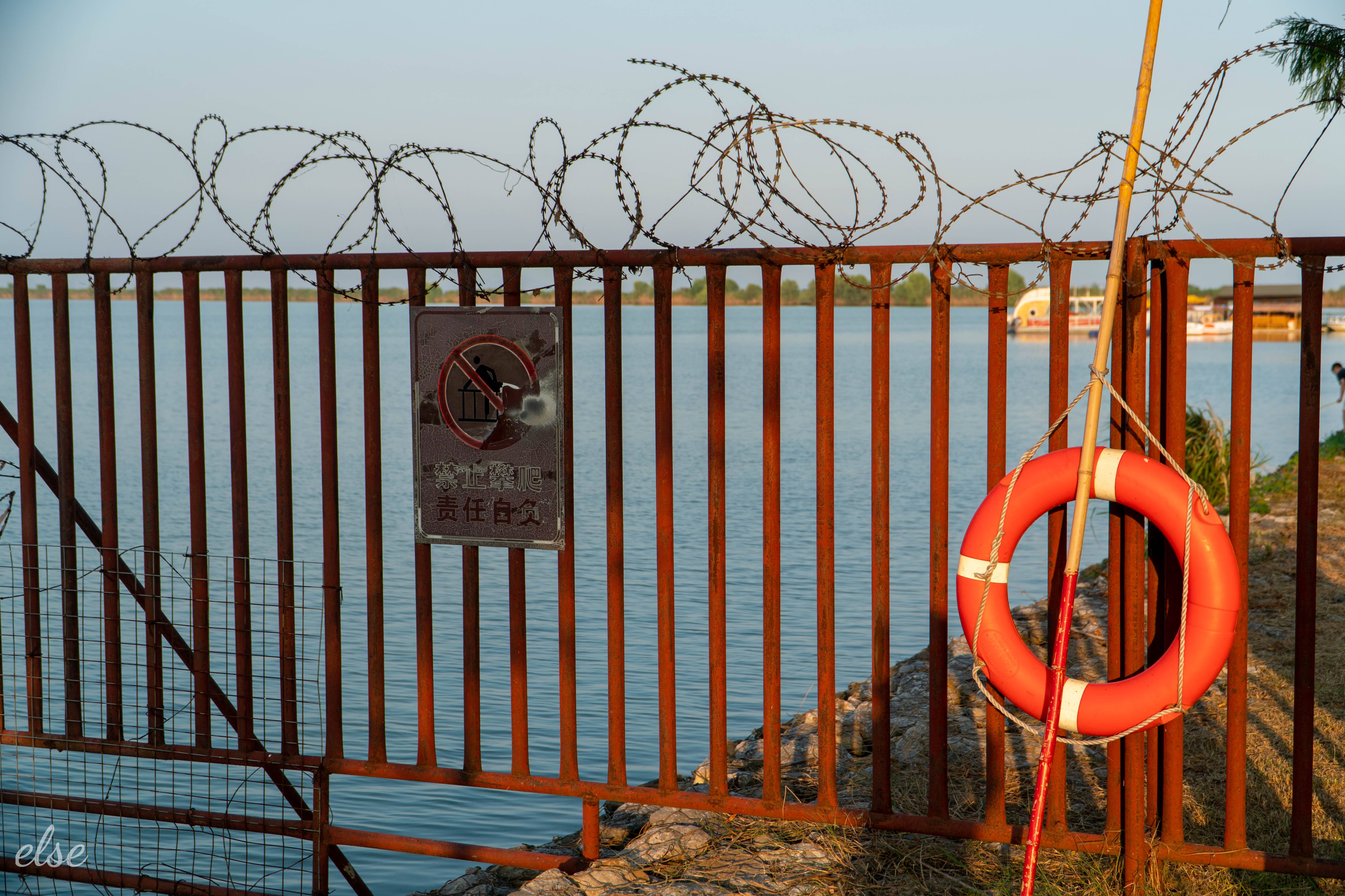 合肥 | SONY a6300+SONY 18-105 | 2023夏