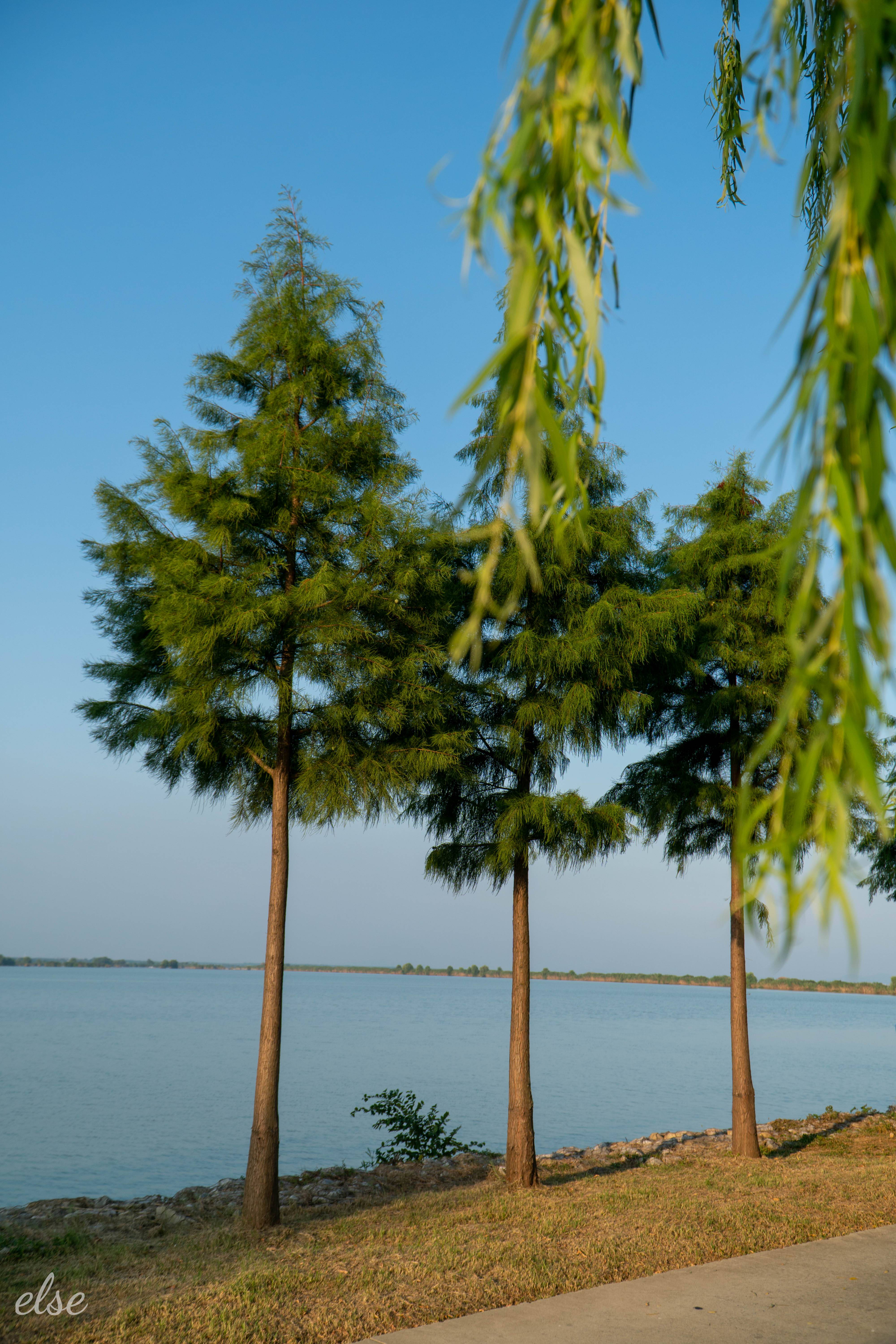 合肥 | SONY a6300+SONY 18-105 | 2023夏